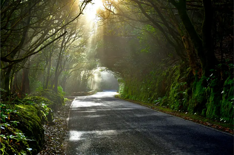 Chamorga Tenerife Guide: Remote Anaga Village, Trails and Practical Tips
