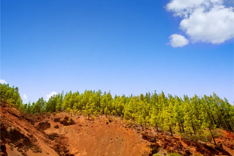 Camping in Tenerife: Campsites, Permits, Bivouac Rules and Tenerife ON