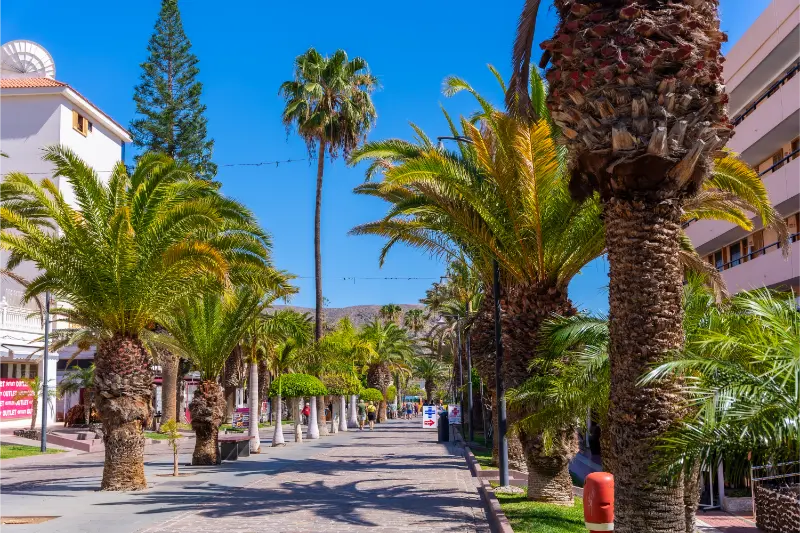 Playa de Las Vistas Guide: Calm Water, Accessibility and Los Cristianos Tips