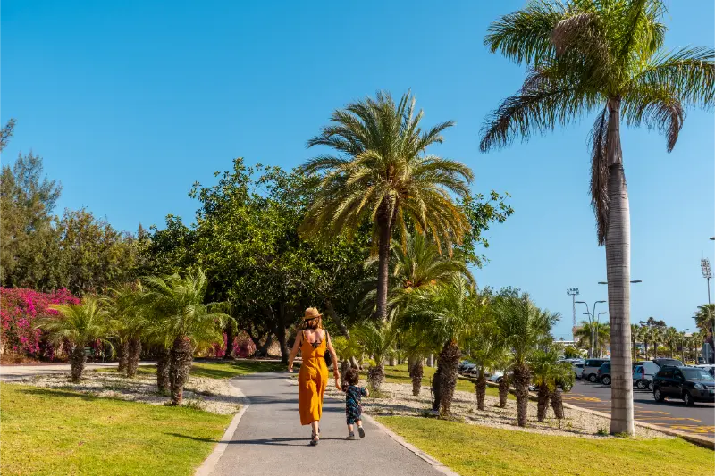 Best Family Beaches in Tenerife: Calm Water, Facilities and Practical Tips