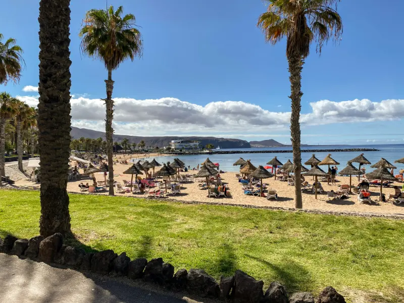 Tenerife Beach With Palm Trees