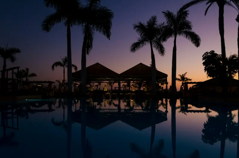 Tenerife Resort Palms At Sunset